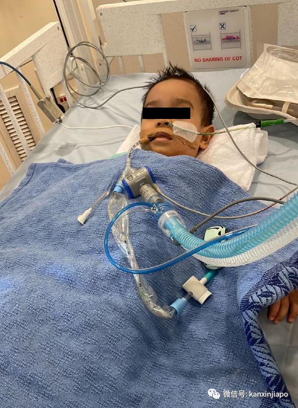 新加坡出现第三起儿童死亡病例，3岁女童住院一月最终病逝……