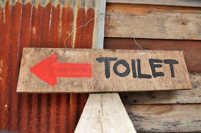 糞便，是人體最大的“傳染源”！該如何化解廁所危機？
