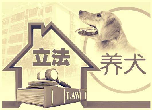 流浪犬伤人暴露地方法规漏洞 国家需出台养犬管理行政法规