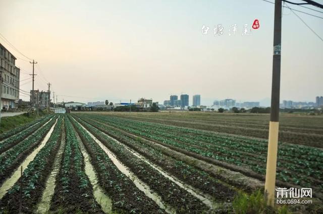 牛逼！莆田这个村竟然是唐朝开国皇帝的后代……