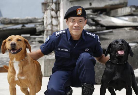 汪汪汪！我是守卫新加坡安全的民防工作犬！