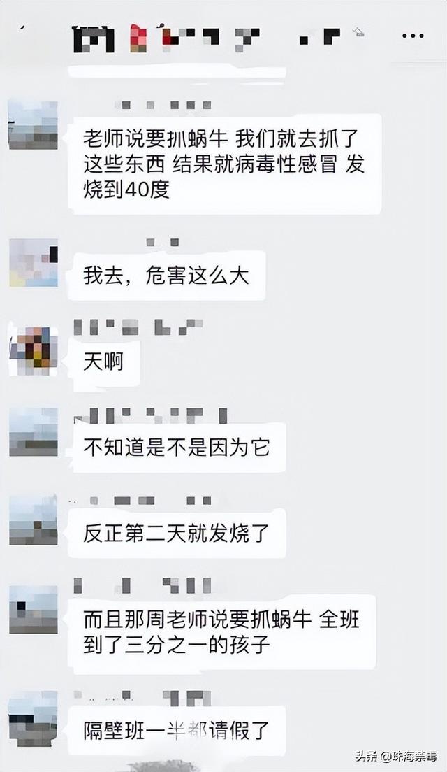 10歲男孩腦長蟲，全班三分之一的學生因病請假，廣東小區遍地都是...