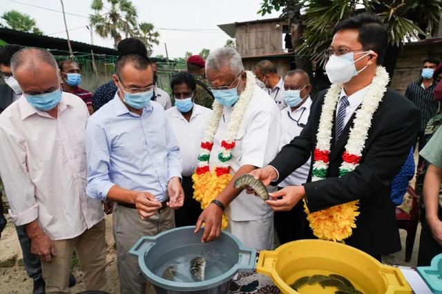 中企幫斯漁民養海參，印闖斯海域非法捕魚，要當發達國家卻沒擔當