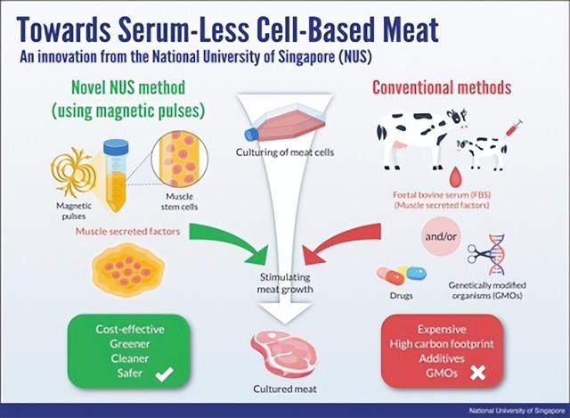 新加坡利用磁场培育细胞肉