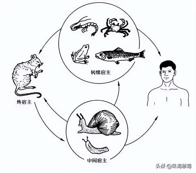 10歲男孩腦長蟲，全班三分之一的學生因病請假，廣東小區遍地都是...