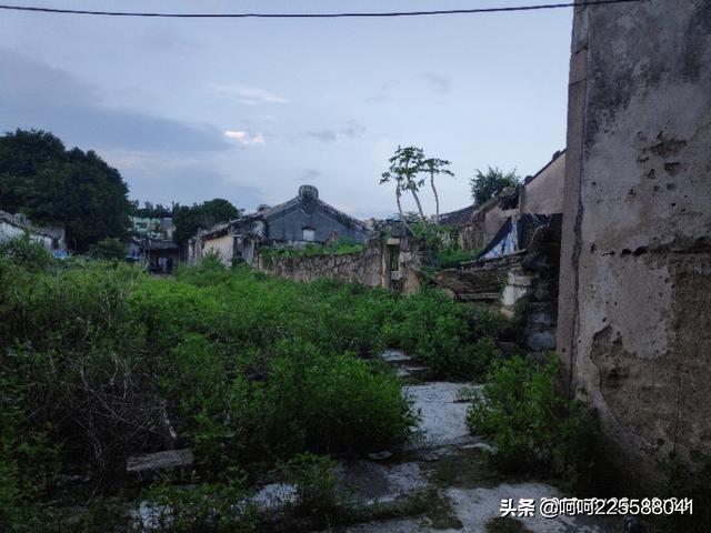 近代潮州旅泰爱国华侨领袖郑智勇(二哥丰)