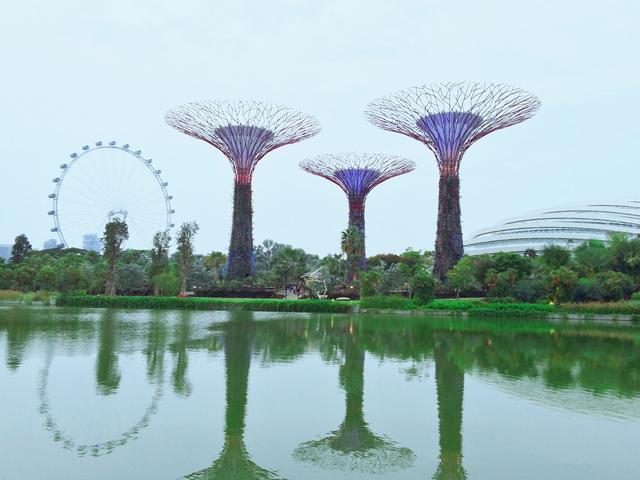 浮摄行旅图：世界上最大的热带城市花园，新加坡滨海湾花园