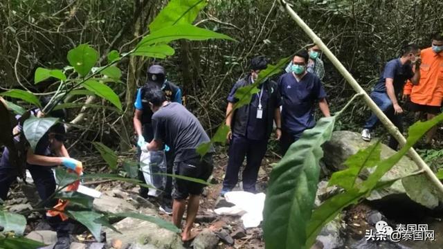 瑞士女子在普吉疑遭奸杀后抛尸山林，一查护照，死者身份令人震惊