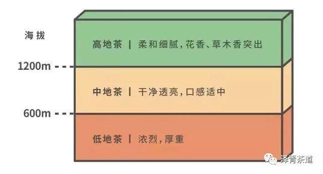 世界上拥有独特喝茶文化的15个国家，你了解几个？