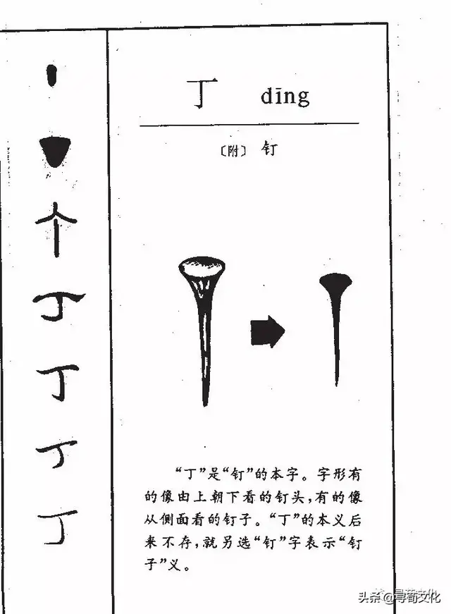 丁姓氏的漢字演變和家族來源過程荀卿庠整理