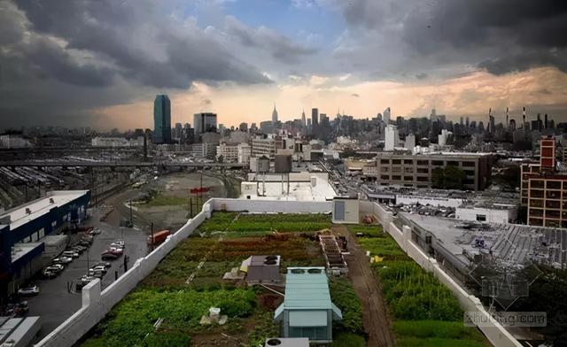 空中农场，立体农业...老外们把都市农业玩的不像话