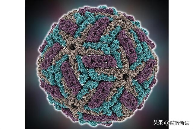 COVID促使全球生物安全实验室激增