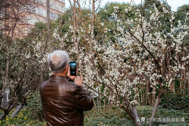 沿着风景道路、沟渠等自然和人工廊道建设，可供游人和骑车者徜徉