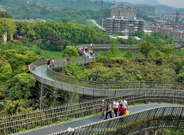 福州有条获国际建筑大奖的空中森林步道