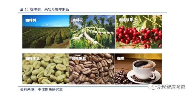 喝了那么多星巴克(SBUX.US) 来看看它背后的咖啡产业链