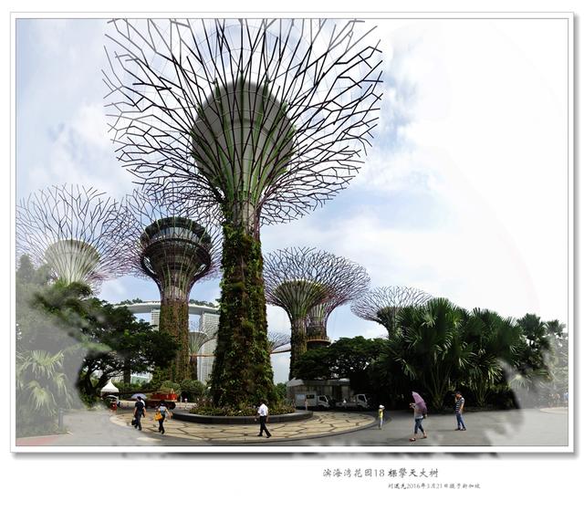 全球最國際化的國家—有“花園城市”美譽的“獅城”新加坡