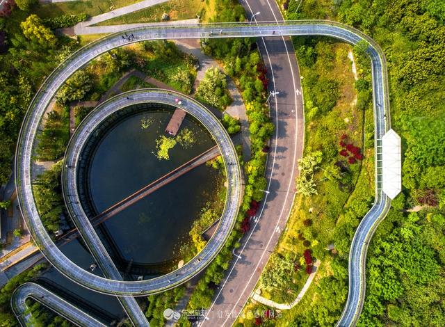 福州有条获国际建筑大奖的空中森林步道