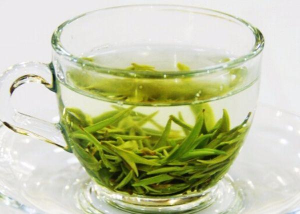 「老蔔奎說茶」綠茶的10個知識，喝綠茶真的好！