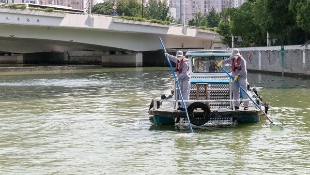 请神容易送神难？浦江暹罗鳄首次目击三周没归案，调研称选择放生鳄龟也占一成