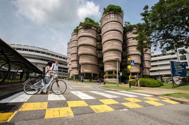 WELCOME BACK：在新加坡，实习早以是多数大学的毕业条件！