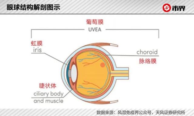 一年卖2.8亿的“神药”，中国青少年要小心