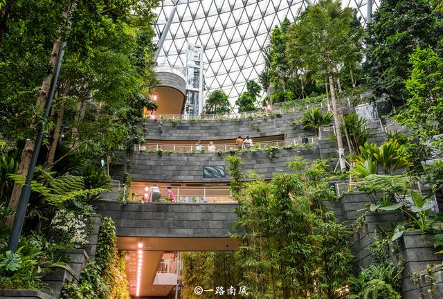 新加坡把“森林花园”搬进机场，里面还有世界最大的室内瀑布