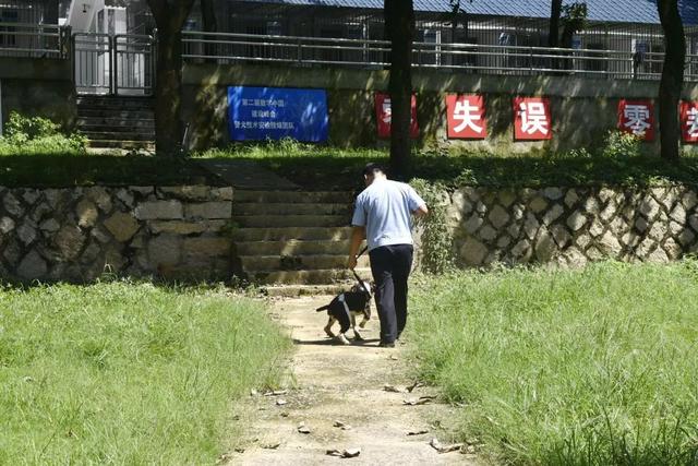 警犬训导员十二时辰，带您看看福州这位辅警的一天！