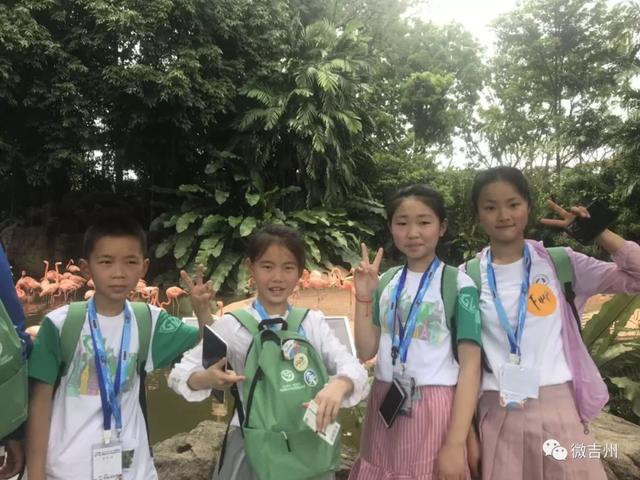 点赞！吉州区村小学生首次荣获国际双语演讲殊荣