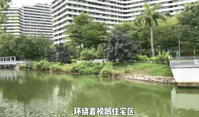 新加坡10个超美户外蓄水池走起~人少风景好