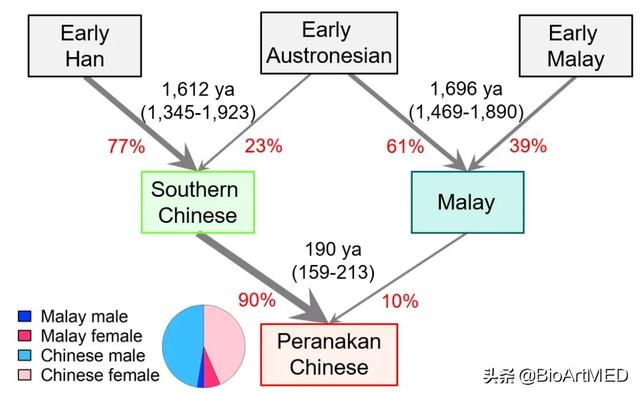 王超龍團隊重構東南亞土生華人與馬來人的混合曆史