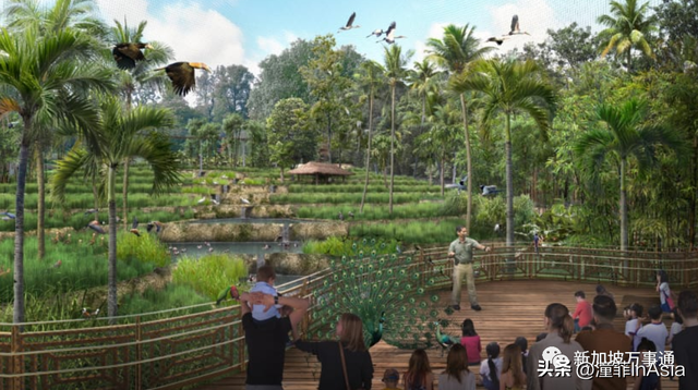 新加坡飛禽公園全面升級8大鳥類棲息地、24%瀕危物種、3500種飛禽