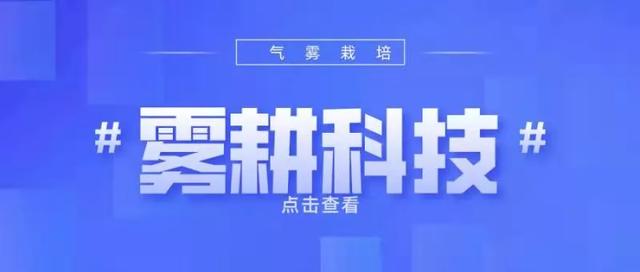 为什么说气雾栽培是最为先进的工业化栽培技术？