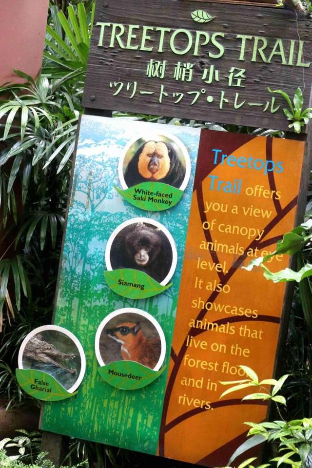 《躺在床上环游世界》新加坡动物园游览（多图预警！~)