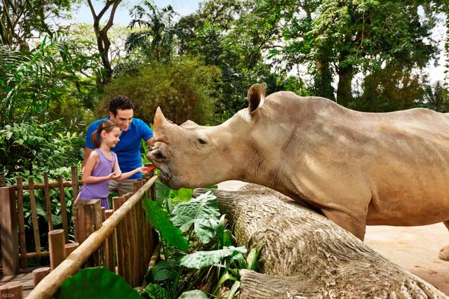 科小文狮城游记之—新加坡动物园