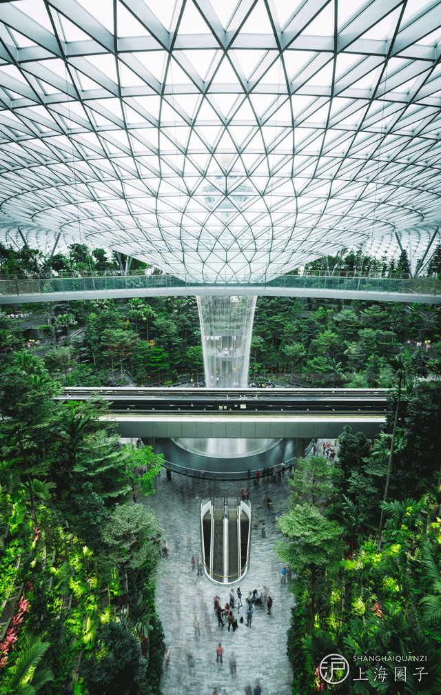 世界奇觀！耗資85億，新加坡把森林、瀑布搬進機場。搶先看實拍圖