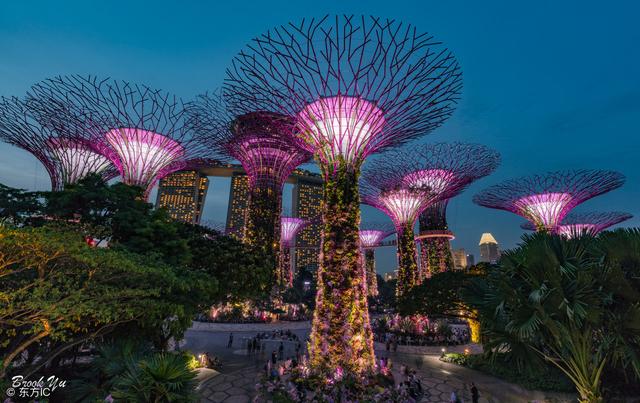 欣赏新加坡的美景，从日出开始，美到让人窒息