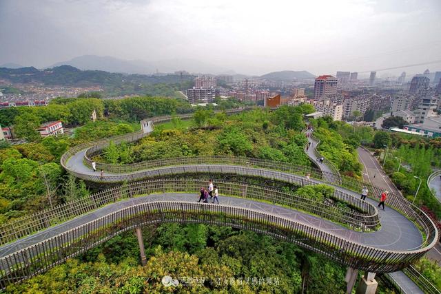 福州有条获国际建筑大奖的空中森林步道