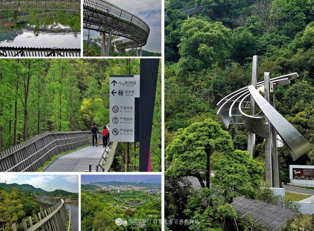 福州有條獲國際建築大獎的空中森林步道