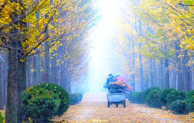 中國最大的邊境城市，十大養老勝地之一，9月將迎來最美早秋