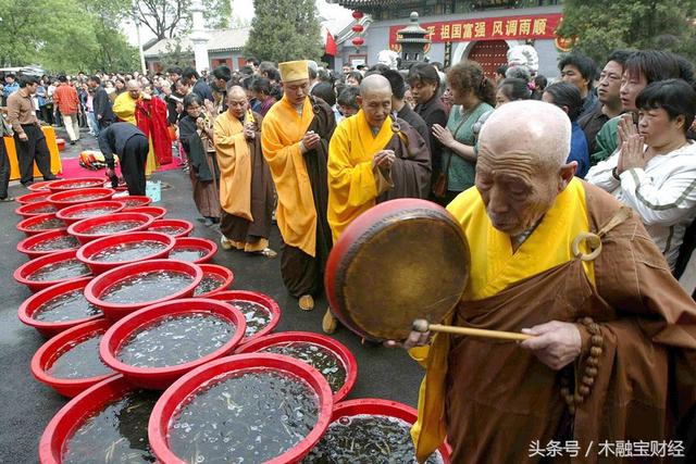 直击变味的放生乱象：利益与“善举”背后的遍地尸骸