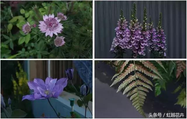花卉界“奥斯卡”切尔西花展：无限美的花园设计是怎样的？
