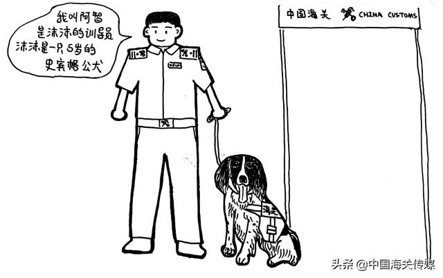 沫沫：一只海關監管工作犬的成長故事