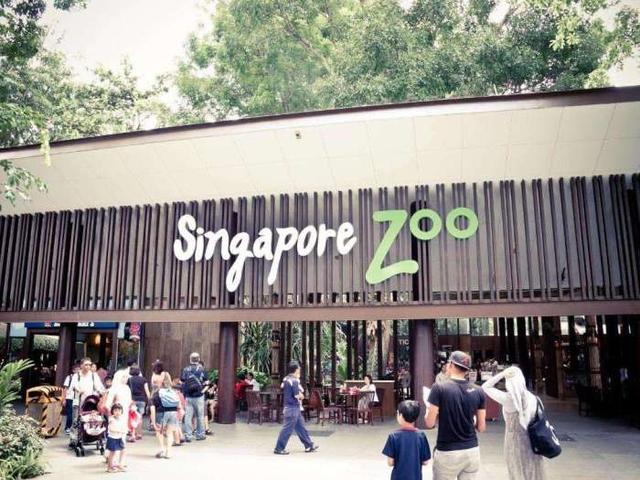 《躺在床上環遊世界》新加坡動物園遊覽（多圖預警！~)