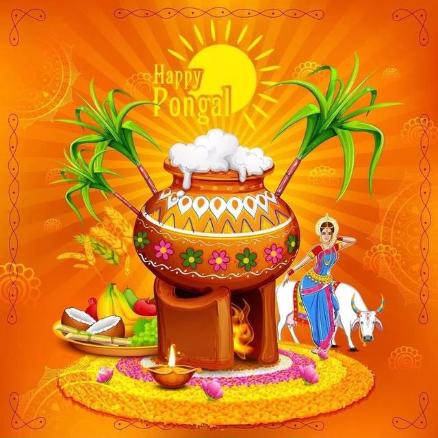 異時同日｜印度豐收節Pongal