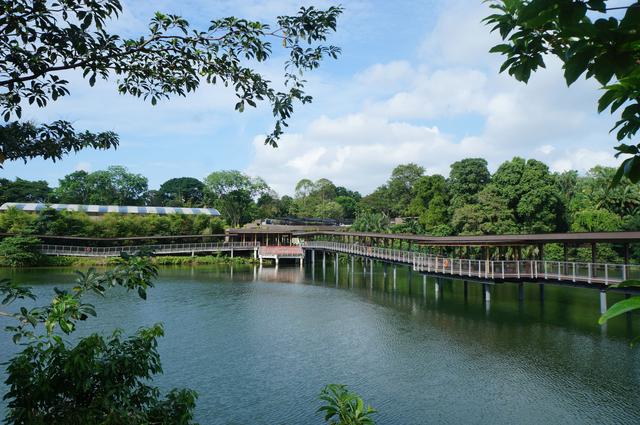 亚洲漫游画册 新加坡河川生态园漫行记 观赏淡水区野生动植物