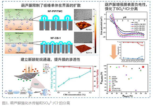 南京"硬核"研究所：拿下5個"中國第一"，如今又出新成果，給納濾膜開辟高效通道！