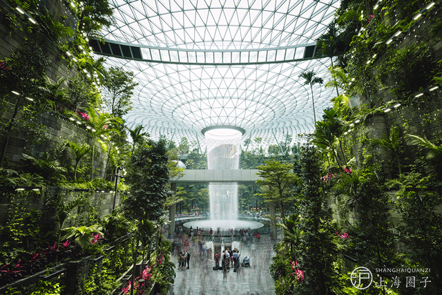 世界奇观！耗资85亿，新加坡把森林、瀑布搬进机场。抢先看实拍图