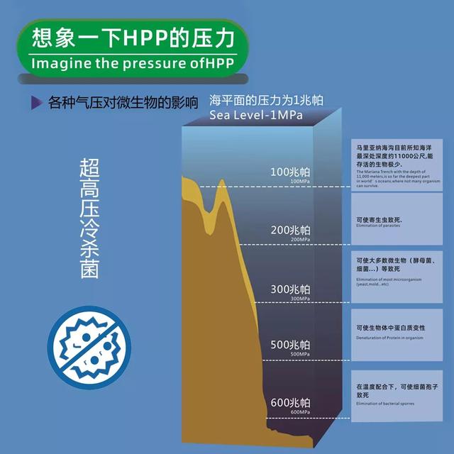 奈雪创始人提到的行业难题 有这几个解决方向