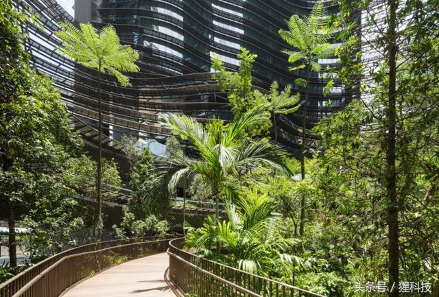 新加坡海边的环保建筑Marina One，足不出户带你游览热带雨林