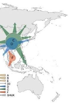 4.5萬-3.0萬年古DNA揭示：現代歐亞人的父系均起源于東亞南部